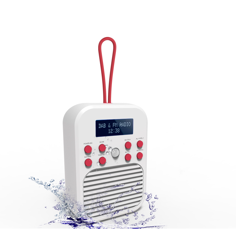 Radio portable DAB+/FM rechargeable RMS 3W - Double alarme - Luminosité  réglable Blanche - WE